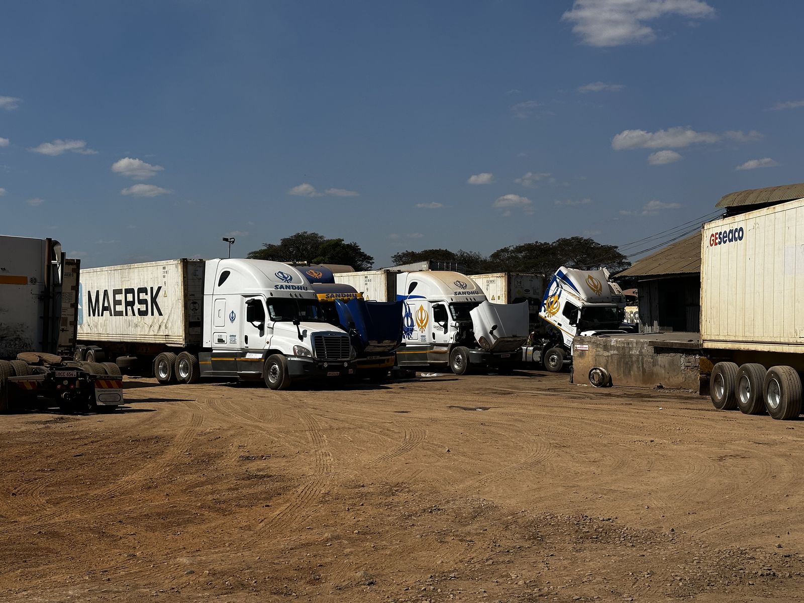 Sandhu Transport fleet lineup with containers